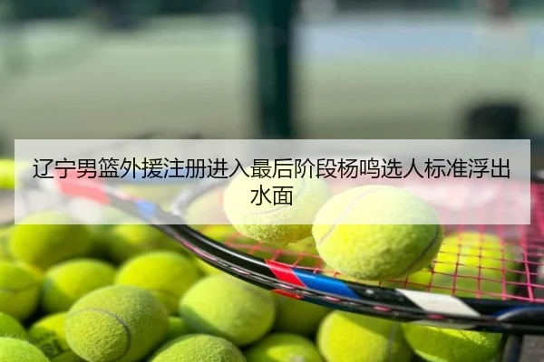 辽宁男篮外援注册进入最后阶段杨鸣选人标准浮出水面